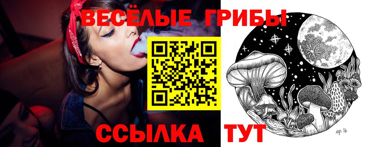 Галлюциногенные грибы MAGIC MUSHROOMS Краснодар